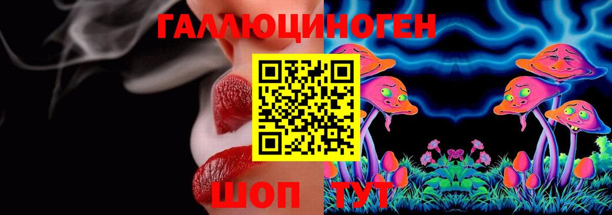 Новошахтинск  Псилоцибиновые грибы GOLDEN TEACHER  цены наркотик  Вход с VPN 